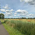 2 Bedroom In Stolec Stolec (Police)